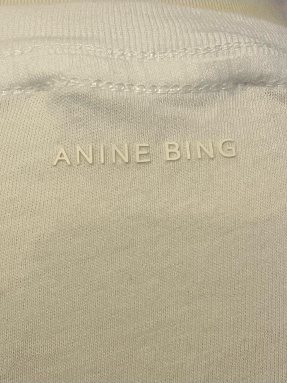 Anine Bing Louis Tour Graphic Tee - Picture 5 of 6